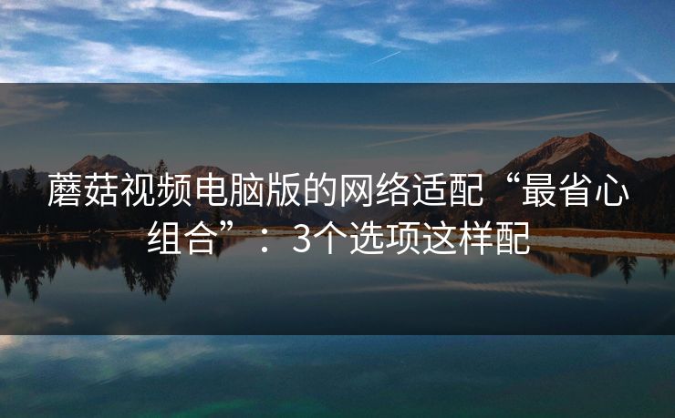 蘑菇视频电脑版的网络适配“最省心组合”:3个选项这样配 第1张 蘑菇视频电脑版的网络适配“最省心组合”:3个选项这样配 第1张